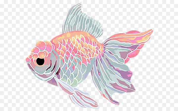 Белая рыбка арт