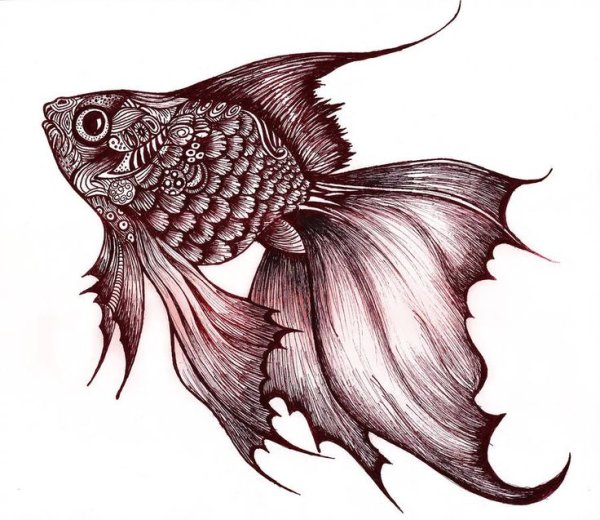 Тату рыбы эскизы