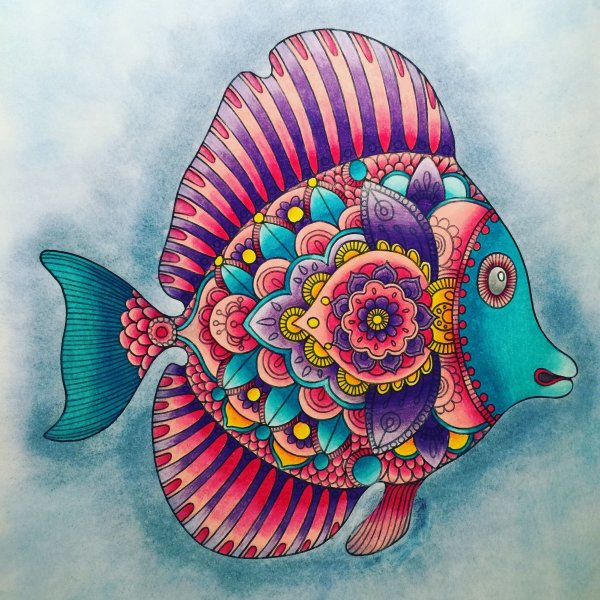 Красивые рыбки для рисования