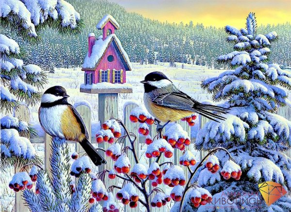 Ричард де Вольфе