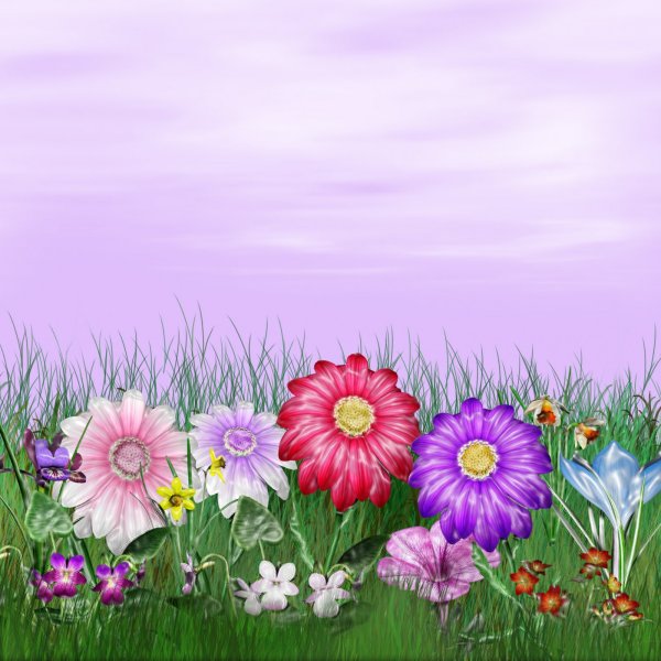 Полянка с цветочками