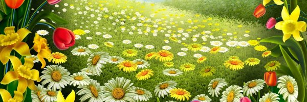 Сказочная Поляна с цветами