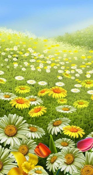 Поляна с цветами