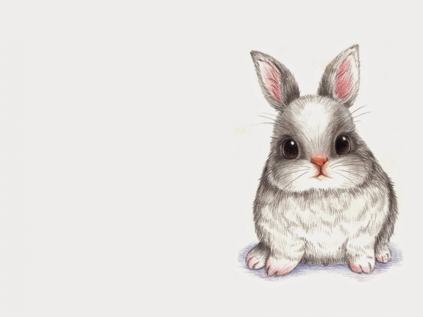 Милый кролик рисунок