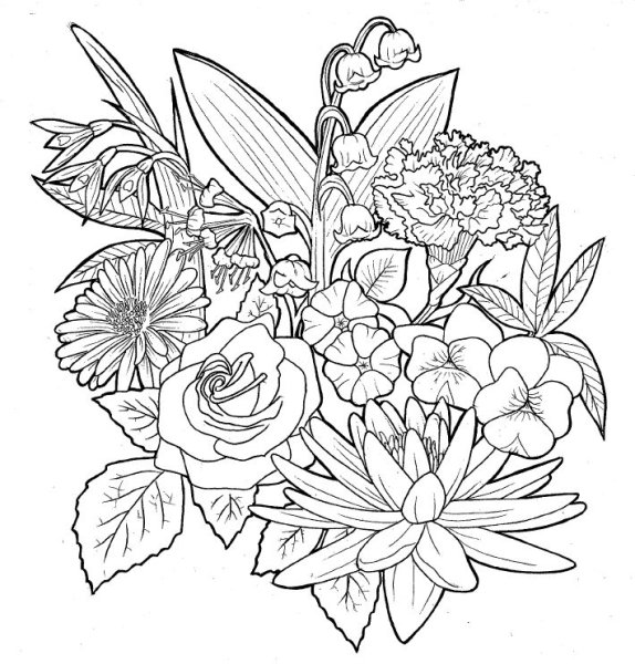 Цветы букет карандашом