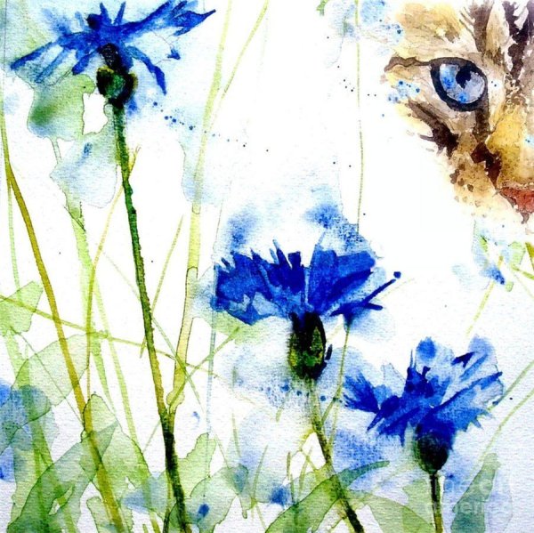 Васильки акварелью