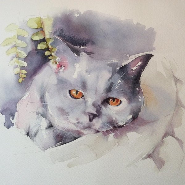 Иллюстрации акварелью