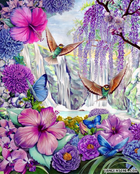 Райские цветы