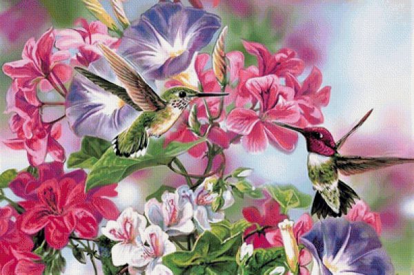 Живопись цветы и птицы