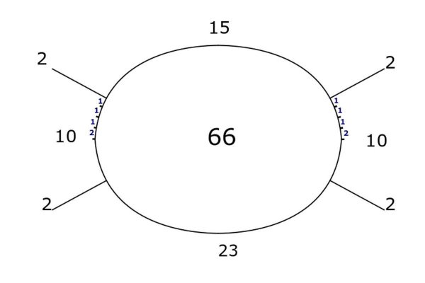 Реглан погон с ростком сверху схема