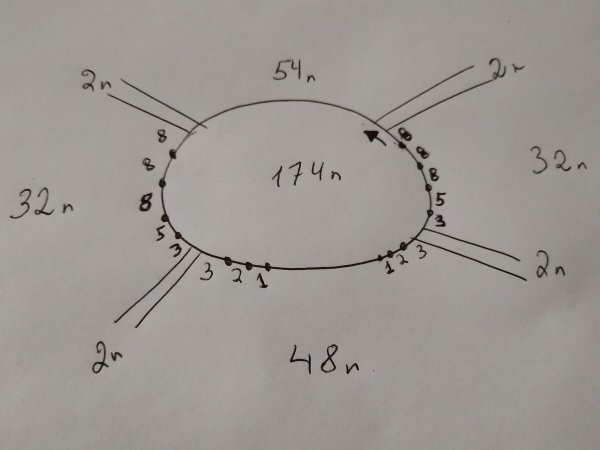 Вывязывание горловины реглан сверху спицами