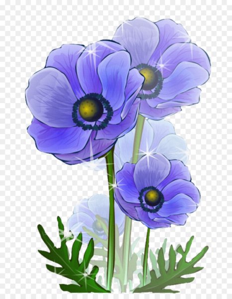 Цветы картинки Рисованные