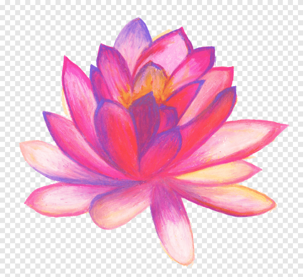 Нарисовать цветы