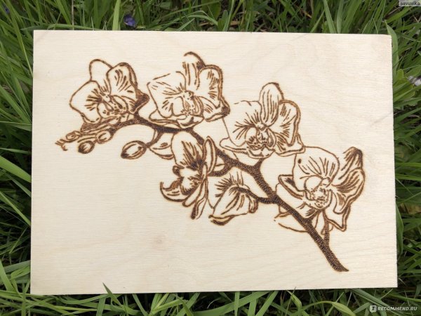 Выжигание по дереву