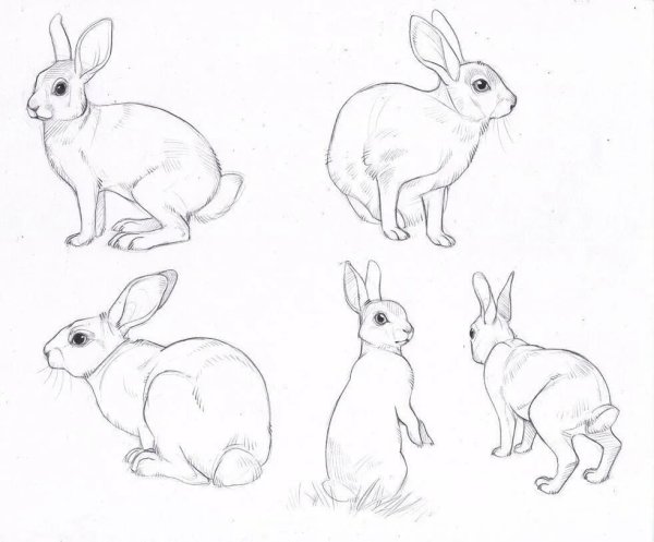 Маленькие рисуночки зайчики