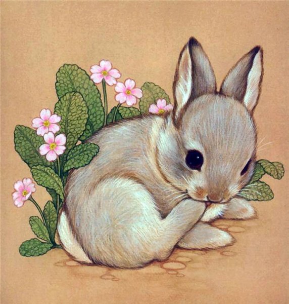 Голова зайца