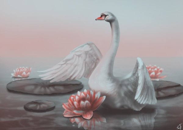 Лебедь иллюстрация