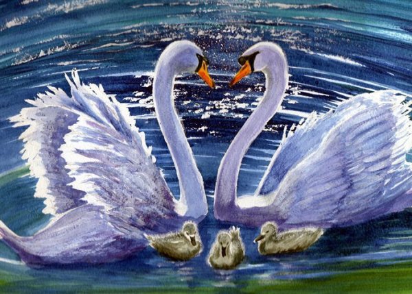 Иллюстрации с изображением лебедей