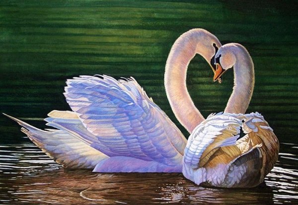 Лебеди маслом