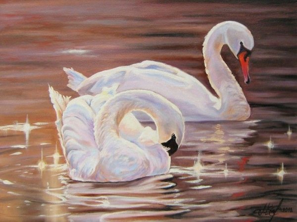 Снежный лебедь