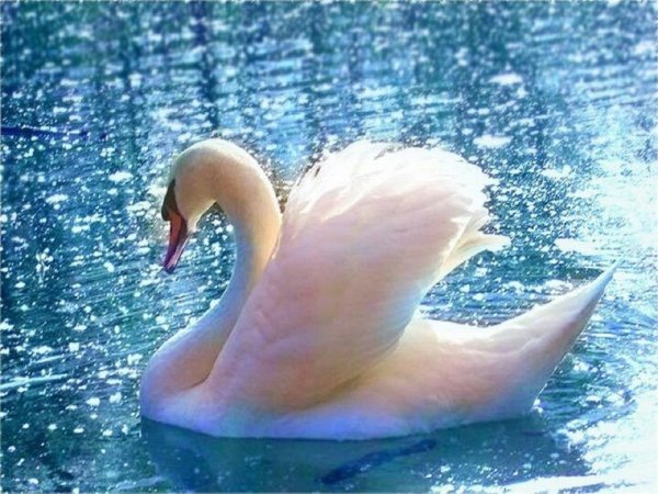 Лебеди картины художников