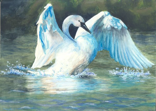 Бенте Шлик феи