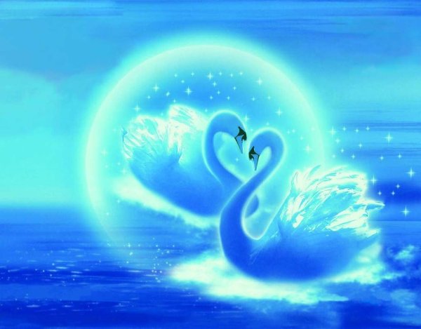 Любовь и лебеди