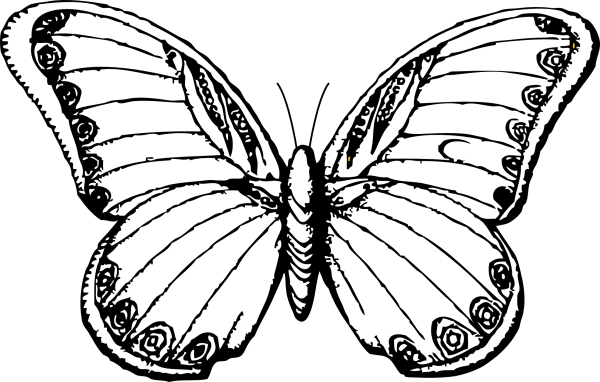 Рисование бабочки