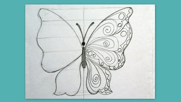 Симметрия рисунок