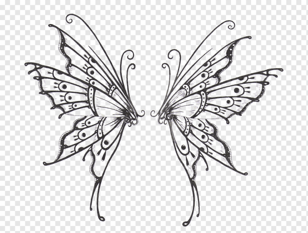 Ось симметрии рисунок