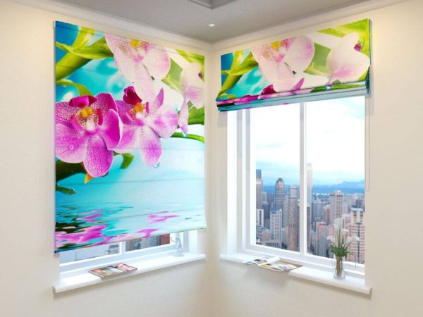 Рулонные шторы с фотопечатью