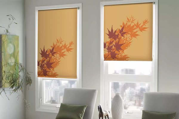 Рулонные шторы с рисунком