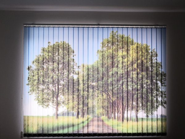 Фотожалюзи Сакура