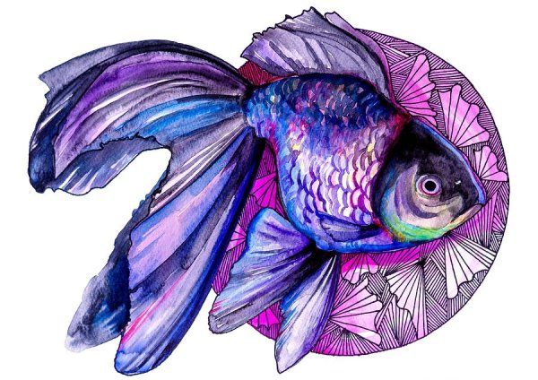 Рыба рисунок