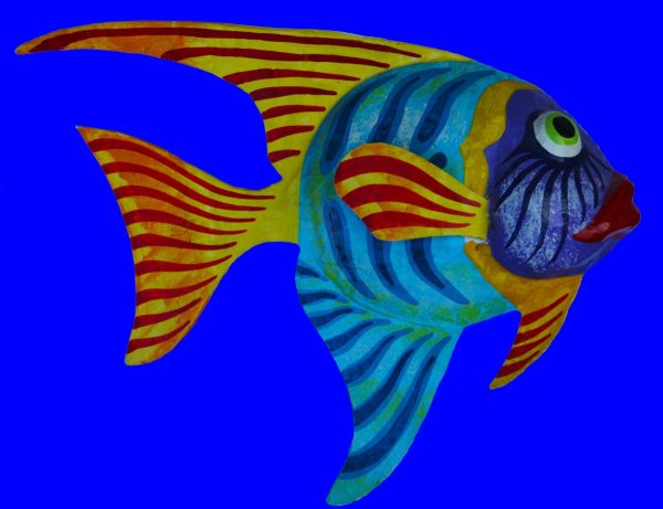 Рыбка на синем фоне