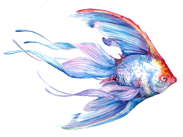 Акварельные рыбки