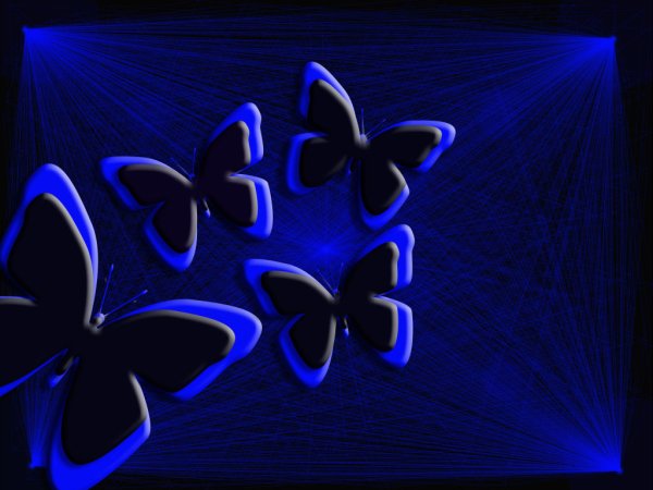 Темно синие розы