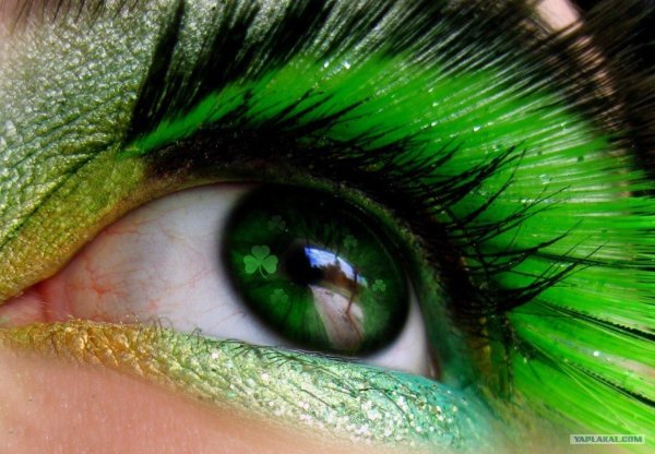 Картинки на рабочий стол зеленые