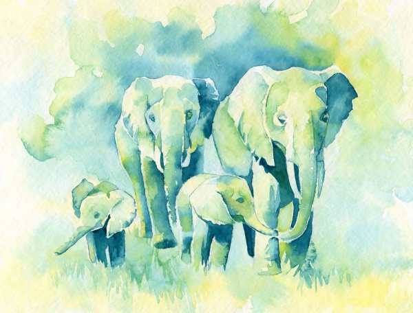 Разноцветный слон