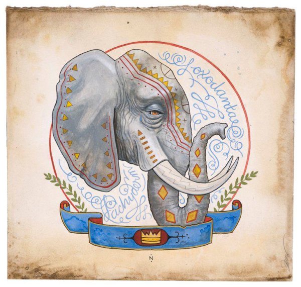 Животные акварелью