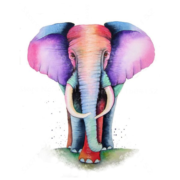 Слон рисунок