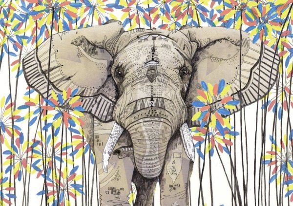 Семья слонов