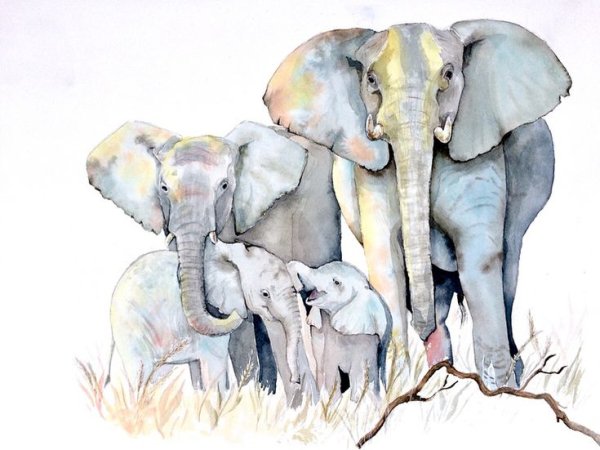 Индийский слон символ Индии