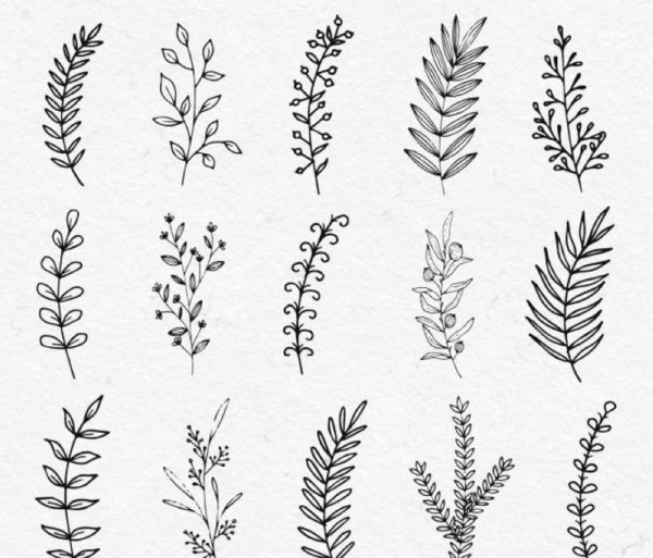 Тату листочки веточки