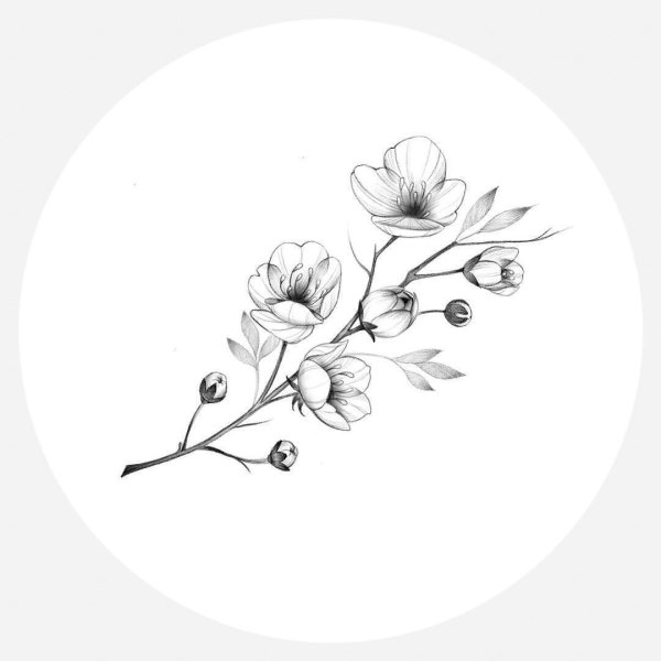 Тату веточка эскиз