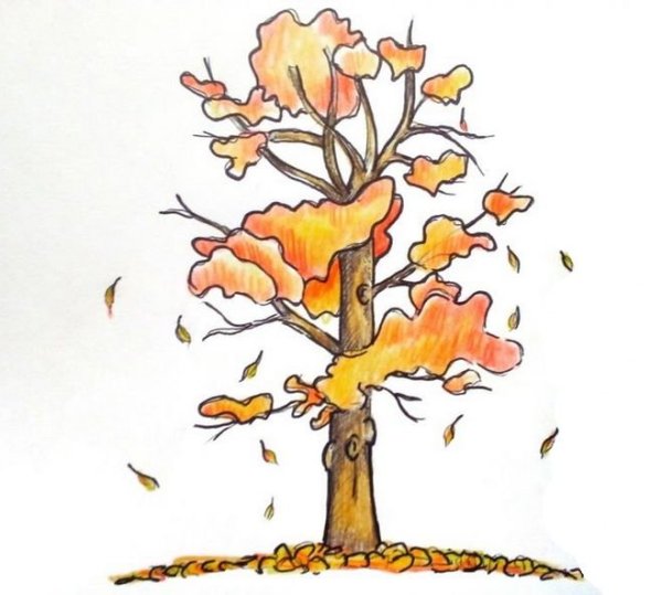 Осеннее дерево карандашом