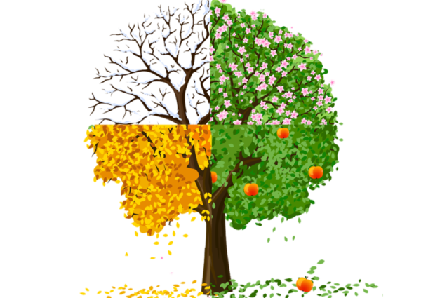 Нарисовать красивое дерево