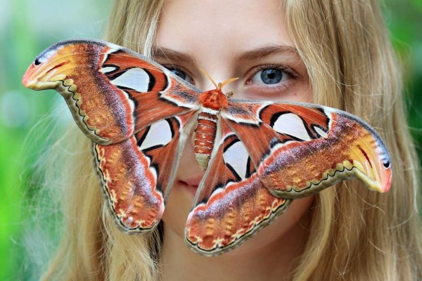 Алессандро Дидди