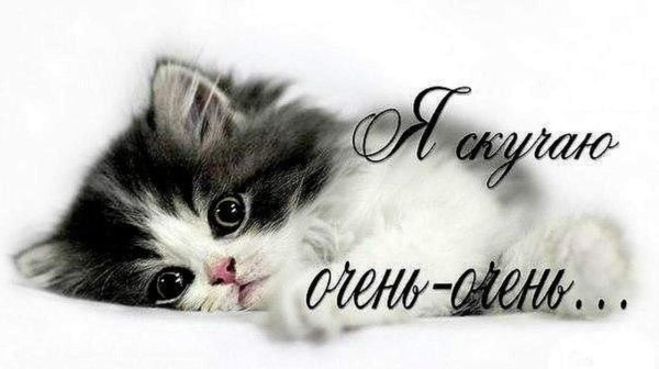 Я очень скучаю