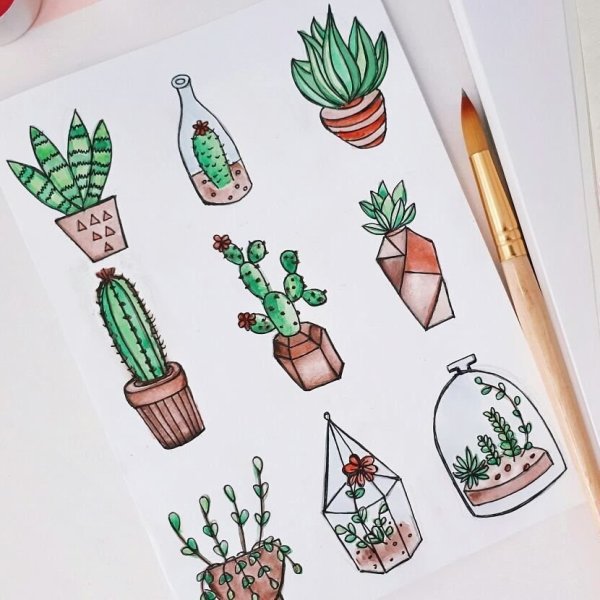 Рисунки для скенчь бука